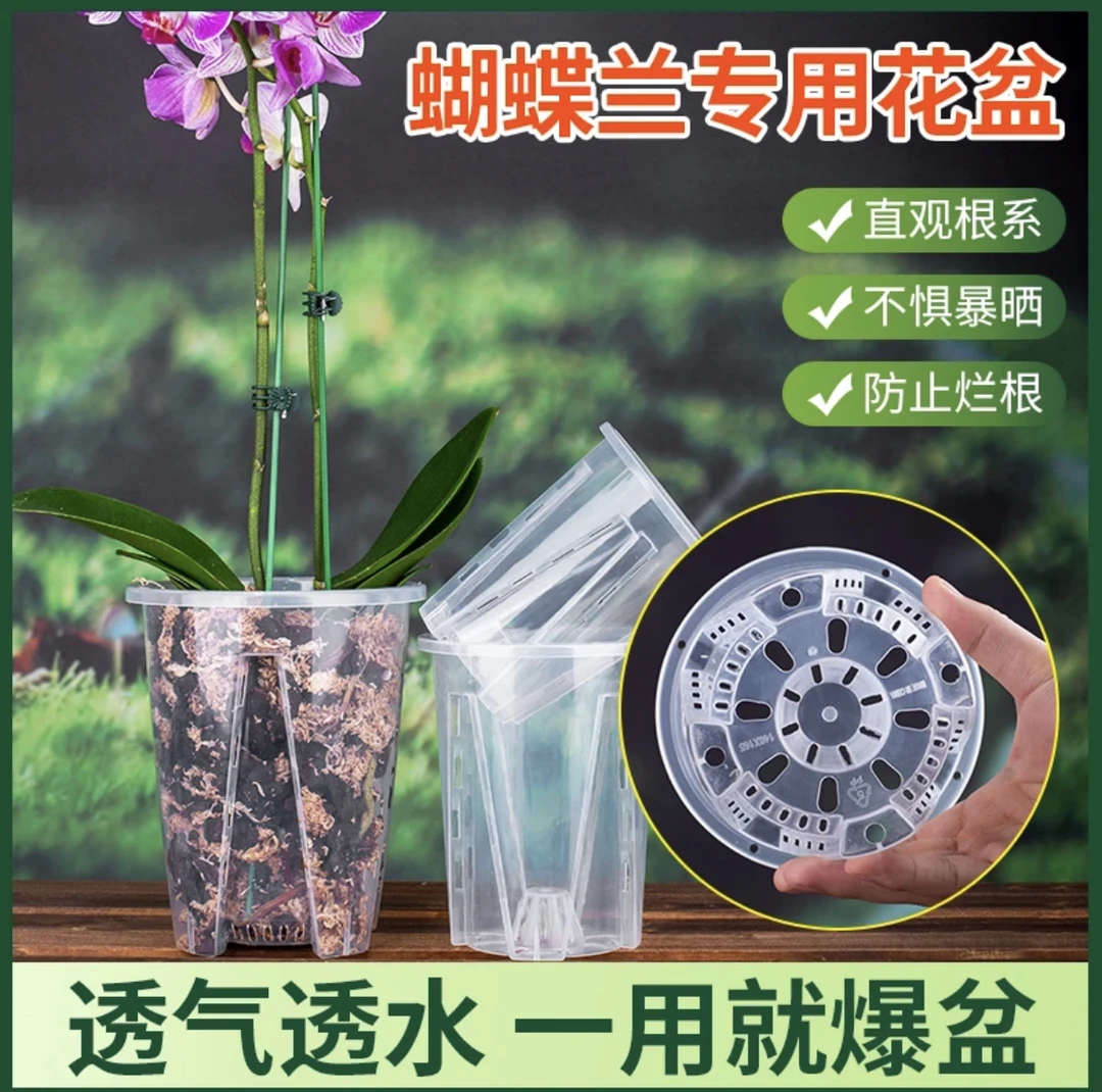 新款蝴蝶兰兰花控根花盆透明青山盆文心兰盆透明塑料透气盆控根盆