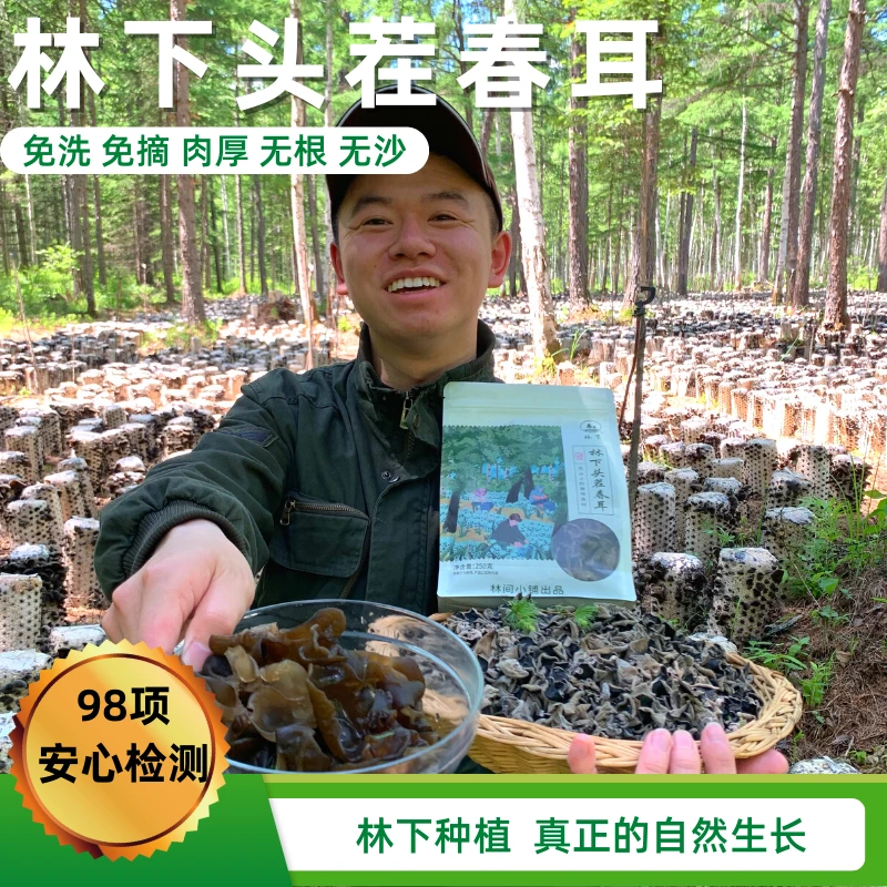 林下头茬春耳伊春小兴安岭黑木耳东北黑木耳肉厚无根/