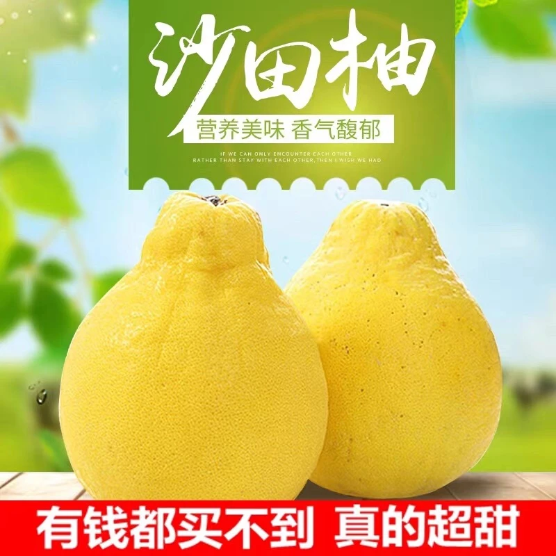 正宗梅州沙田柚纯甜无酸产地直发广东白心沙田柚广东金柚