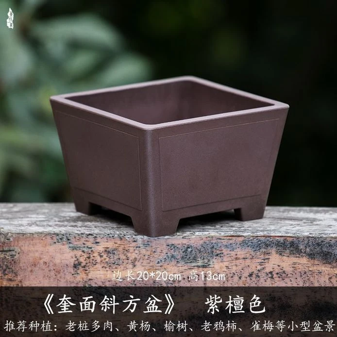 加厚多肉花盆景天盆小白方盆单头老桩小群景天盆多肉小方盆塑料
