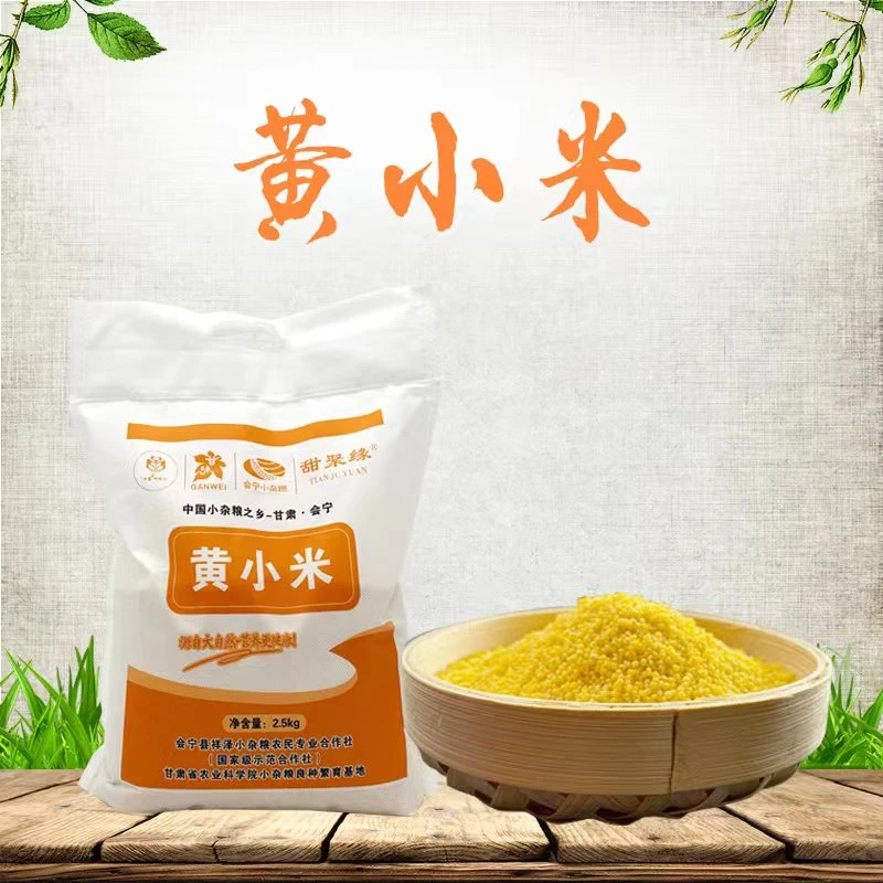 甘肃会宁特产黄小米2.5kg/袋 农家自种小米小米南瓜粥