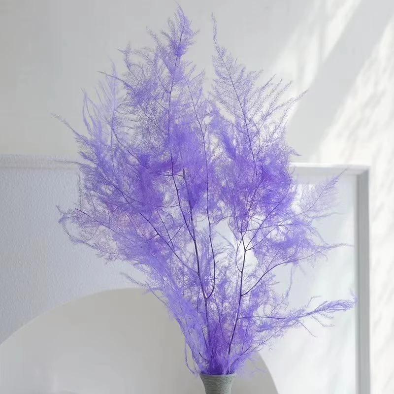 永生文竹搭配软装居家拍照纯手工母亲节礼物婚庆必备色系仙气保鲜