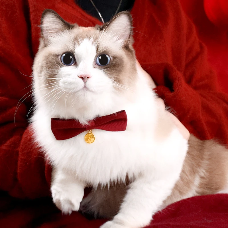 宠物领结结婚喜字囍猫咪狗狗脖子饰品拍照蝴蝶结红色节日布艺脖圈