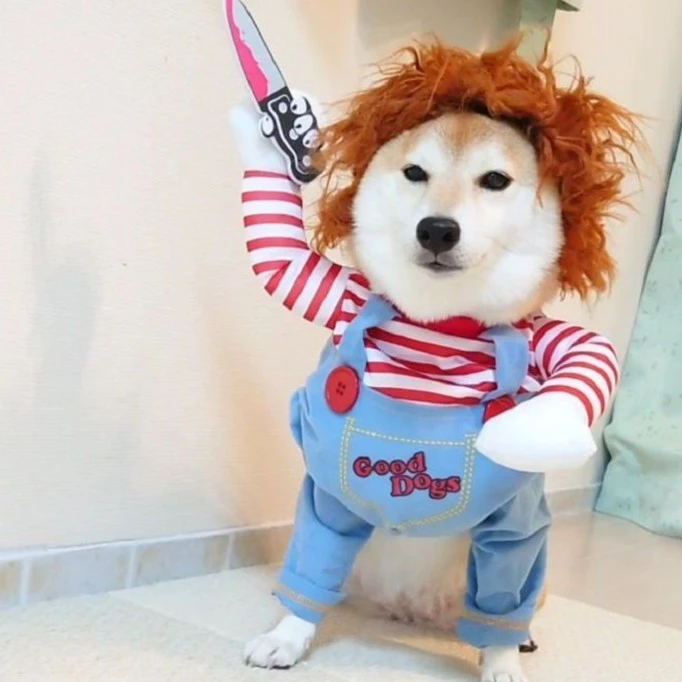 网红款拿刀带刀致命娃娃搞怪搞笑变身装宠物衣服狗狗高颜值万圣节