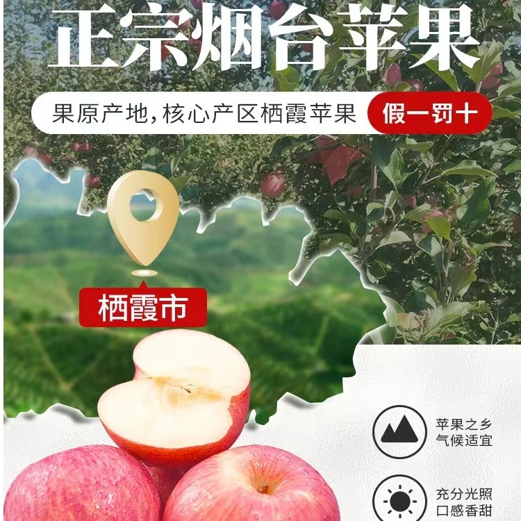 山东烟台红富士苹果 脆甜多汁甜脆 产地直发4.5-9斤