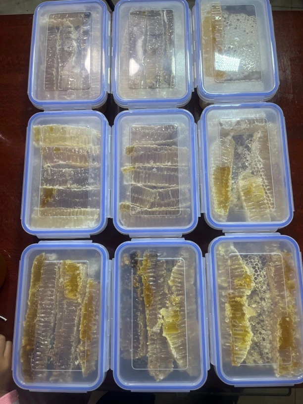 巡花问蜜深山老巢蜜，一年取一次的土蜂巢蜜农家土蜂蜜