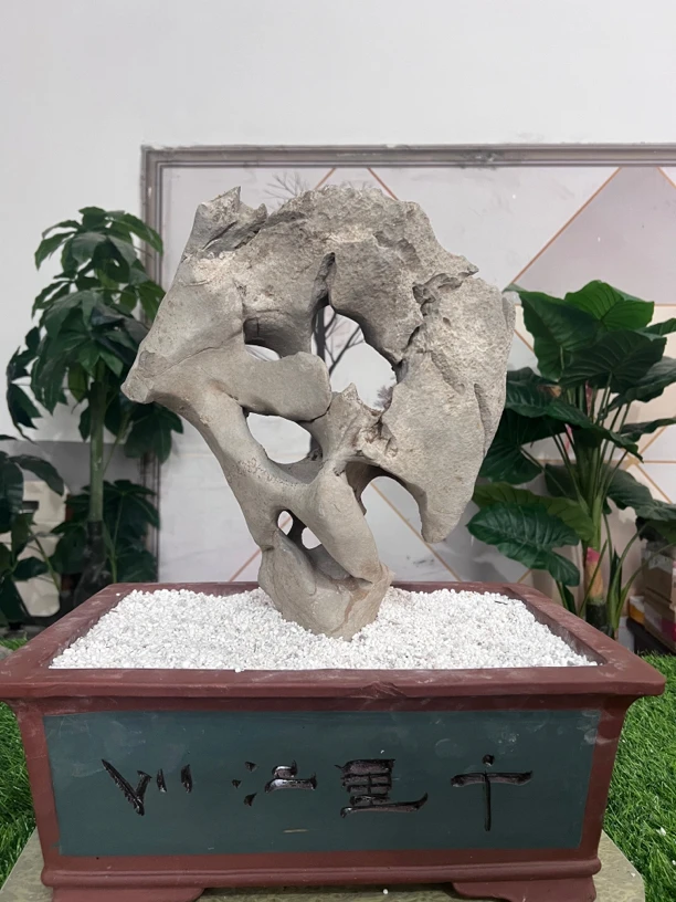 奇石直播间价格商品勿拍