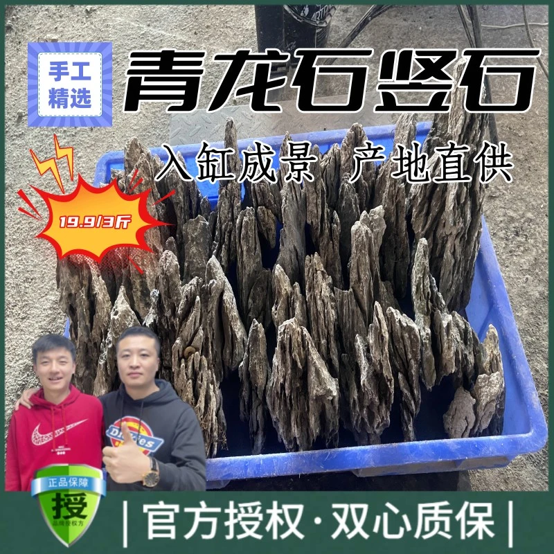 黑蜗牛酸洗青龙石精品天然鱼缸造景石材大小块原碎石多孔假山竖石