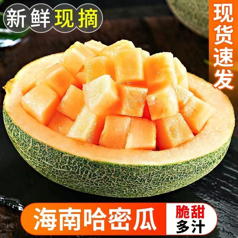 海南哈密瓜1个装新鲜水果甘甜多汁果香时令肉厚产地直供
