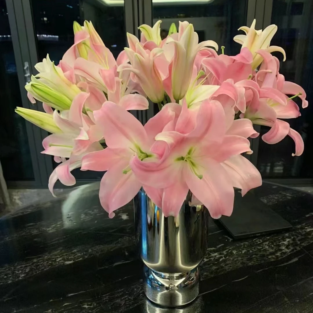 （圆舞曲）粉色浓香型香水百合花卉鲜花家用水养插花室内办公室养护