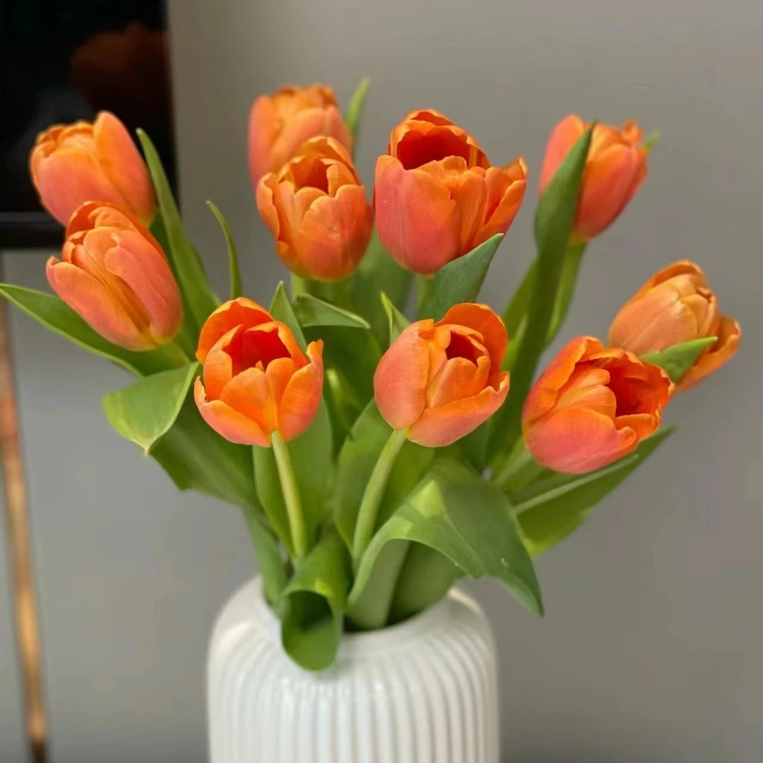 【方德】方德西柚郁金香（长度25cm左右）小花苞【两单京东或顺丰】