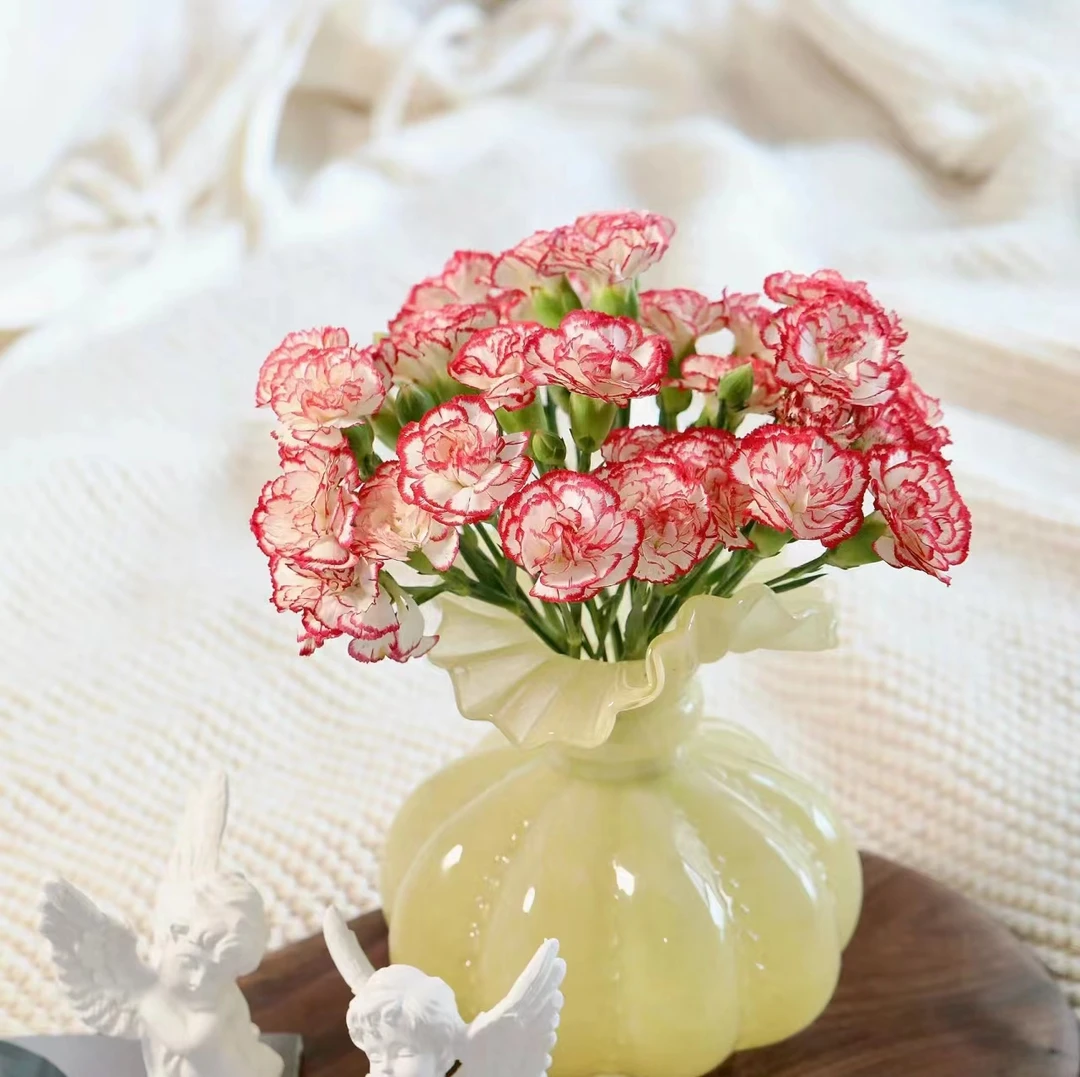 20枝风铃多头康乃馨【两单顺丰冷链或京东空运】云南鲜花基地直发