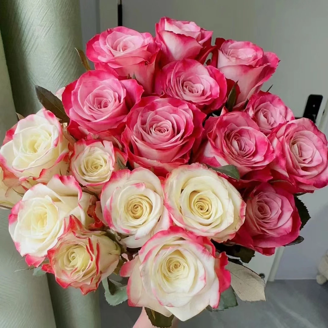 方德荷冠：10枝经典艾莉森10枝艾莉森   鲜花 两单顺丰或京东