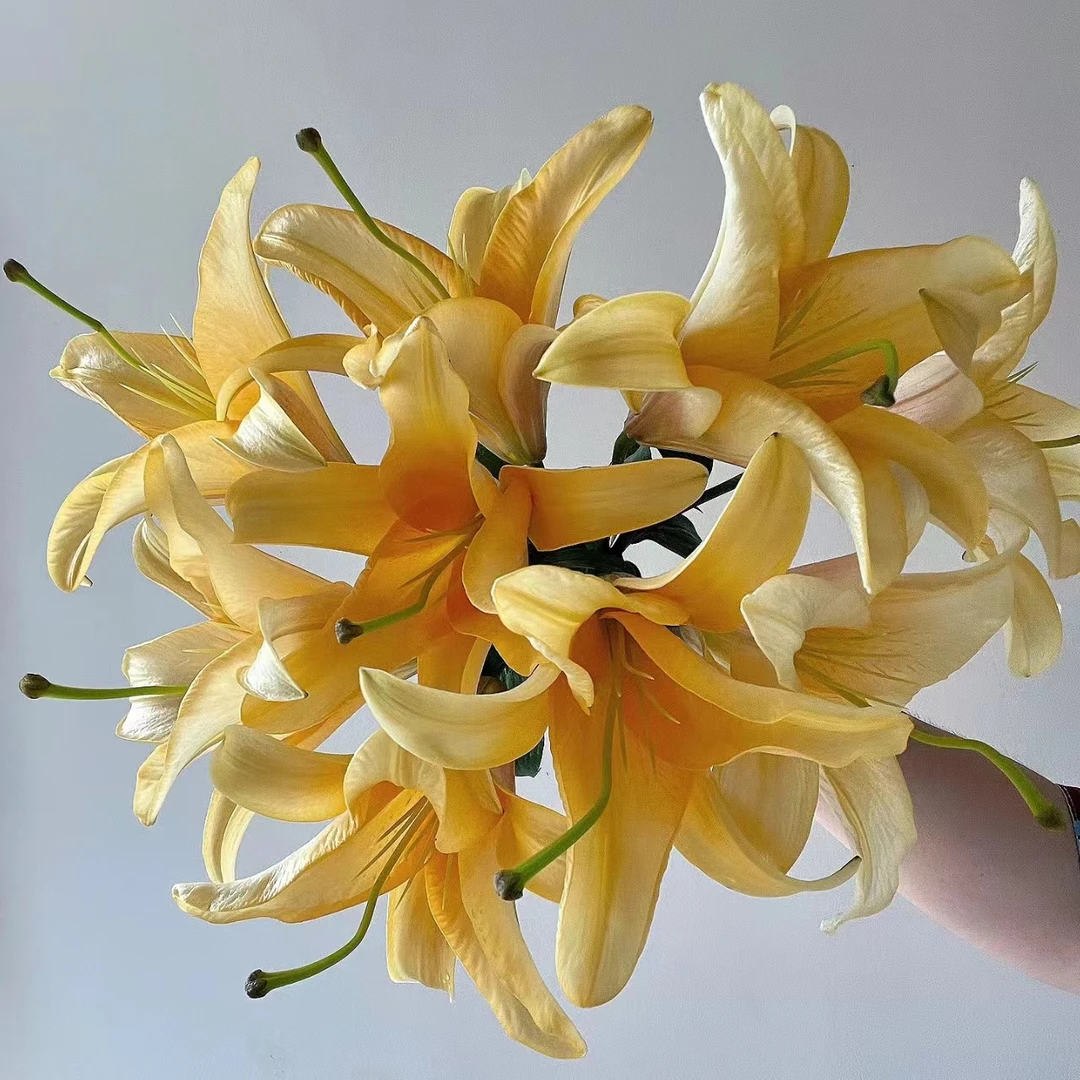 3枝晚霞三头百合9个花苞【两单京东或顺丰包邮】云南鲜花基地直发