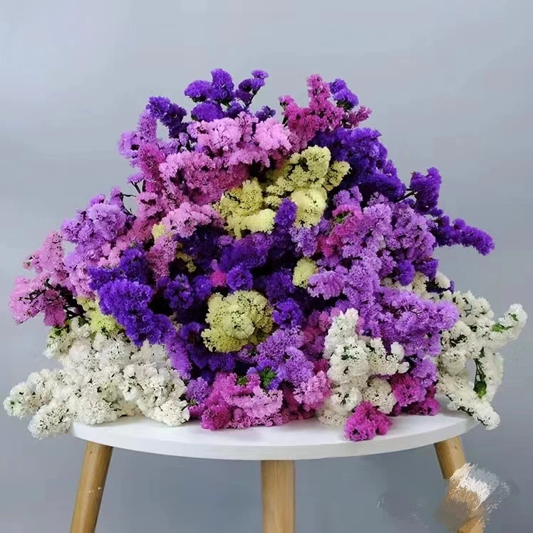 勿忘我干花 云南鲜花般室内花呗瓶插昆明基地直发