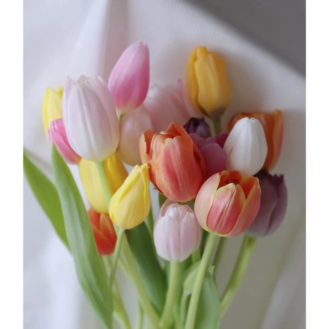 [海盛] 10枝海盛混色郁金香小花苞20cm会长个【两单顺丰或京东】