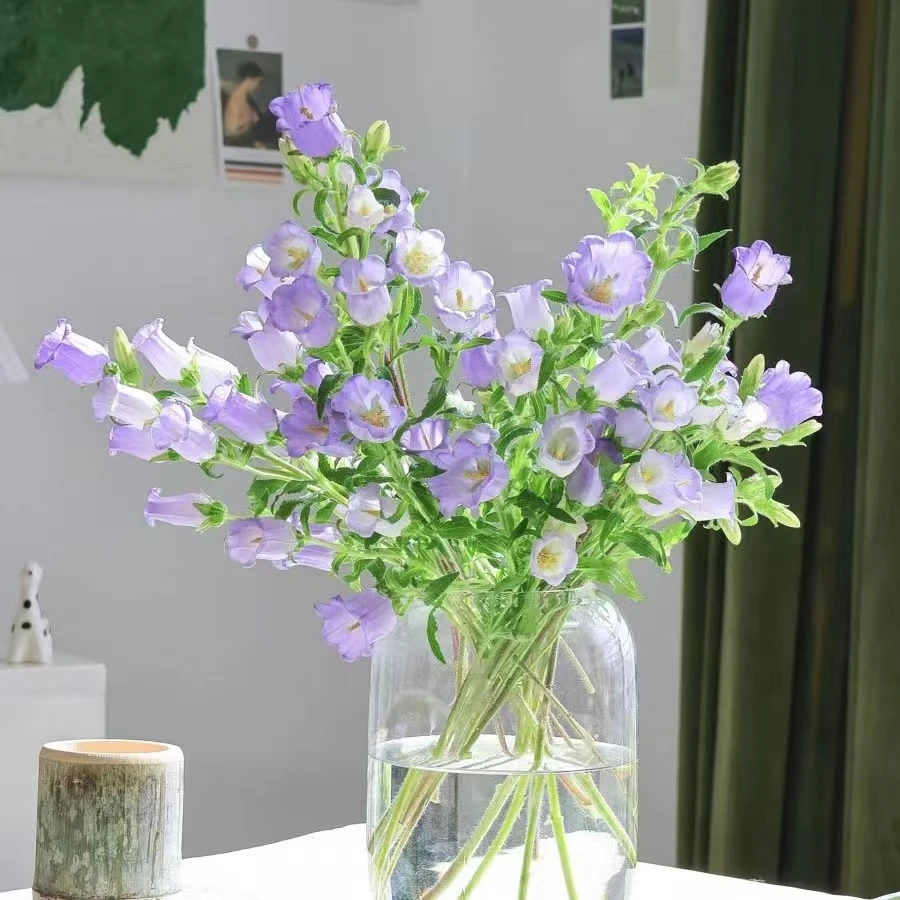 1扎紫色风铃花【两单京东或顺丰包邮】云南鲜花家用水养 爆花神器