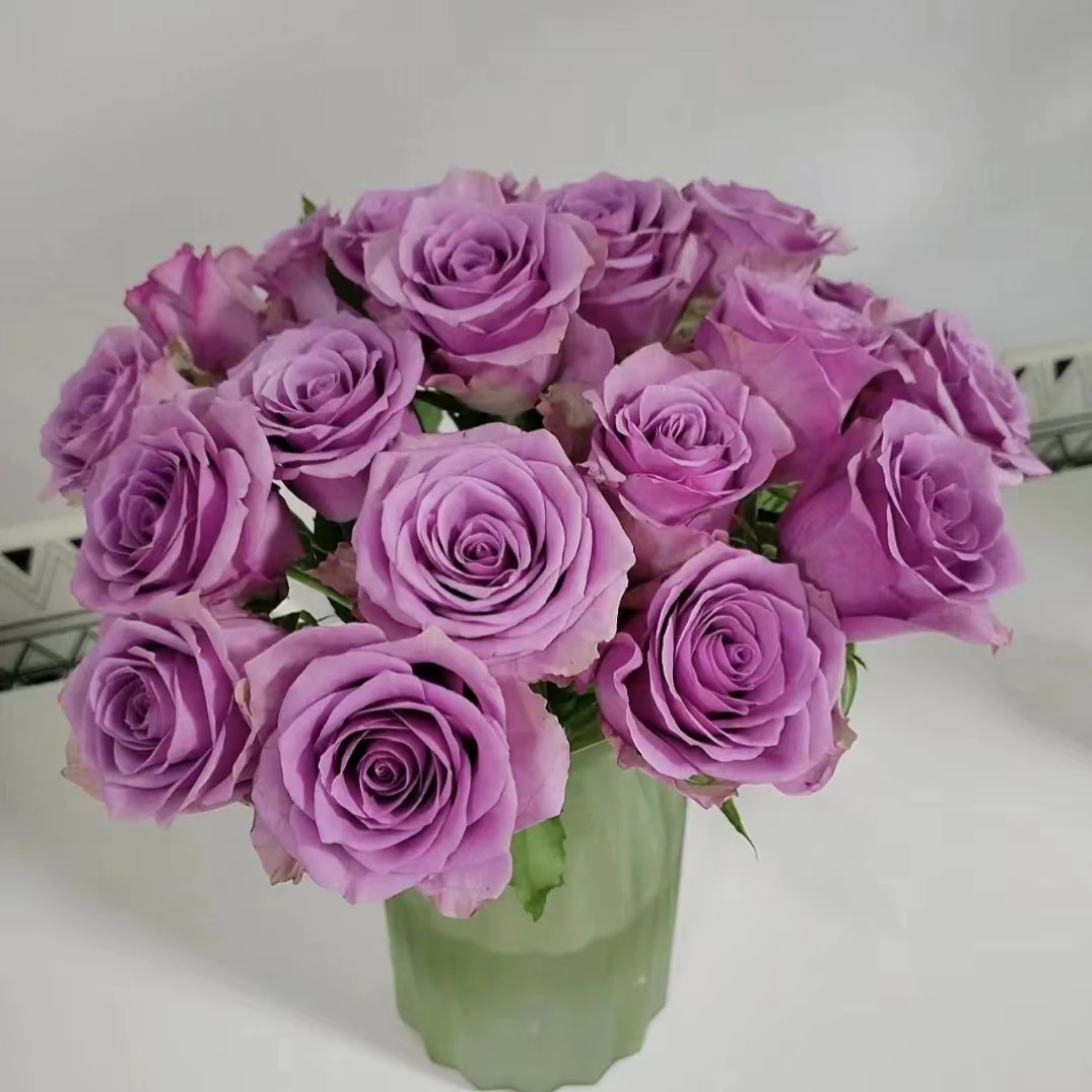 10枝紫霞仙子单头玫瑰（小花苞）【两单顺丰冷链或京东快递】