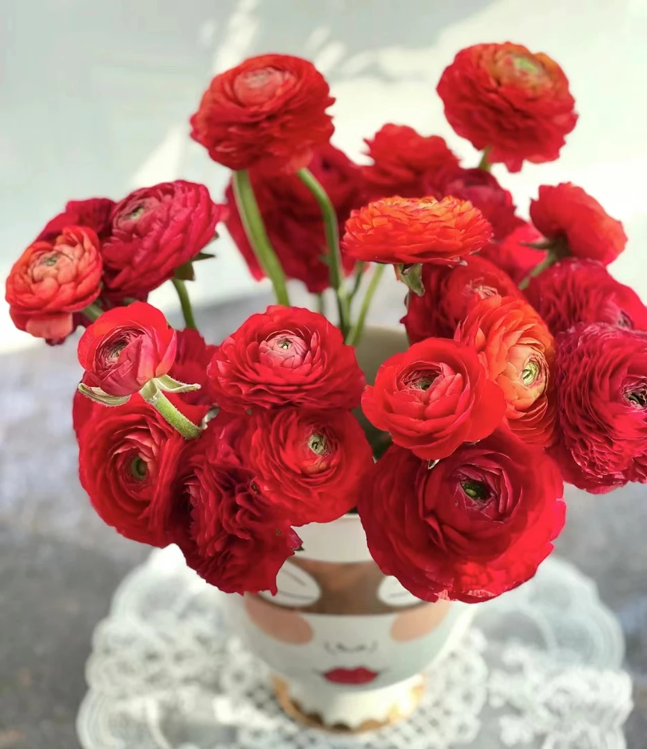 10枝红色洋牡丹（带包装醒花） 【两单顺丰冷链或京东空运】