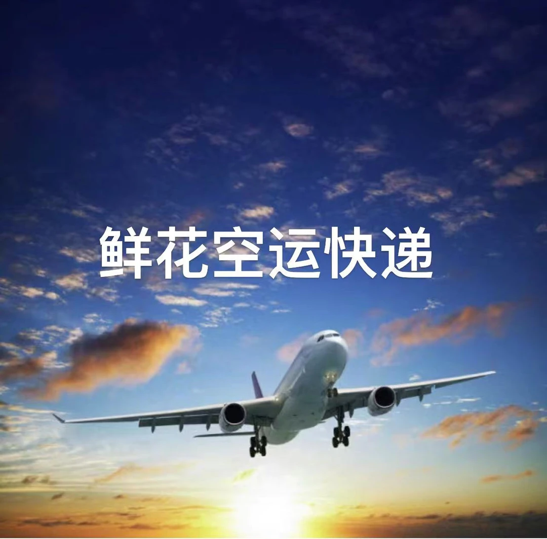 【鲜花空运1单运费可买两单】向日葵玫瑰百合各种花材云南鲜花基地