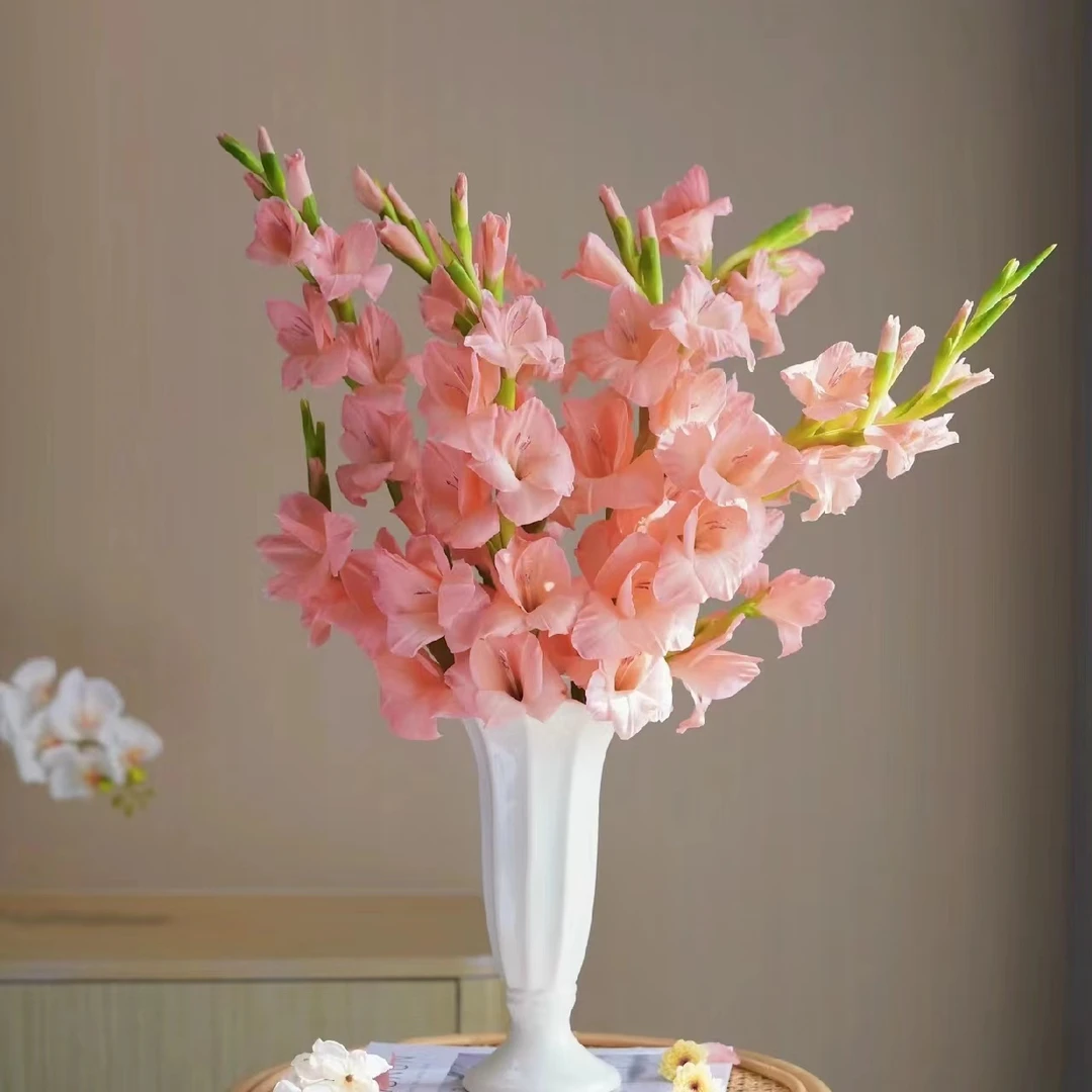 10枝阳光粉剑兰稀有花材云南鲜花基地直发家庭办公室水养鲜切花