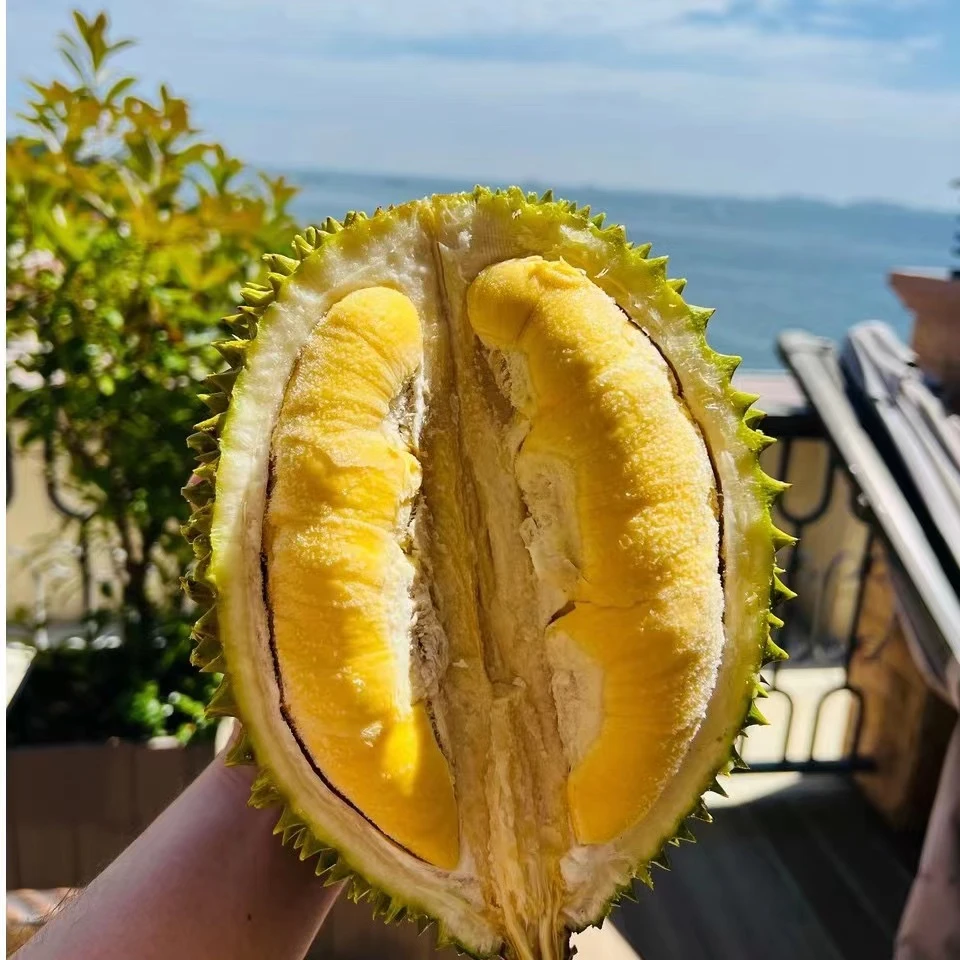 （猫哥）精选保5房AA级马来西亚猫山王D197榴莲液氮冷冻顺丰