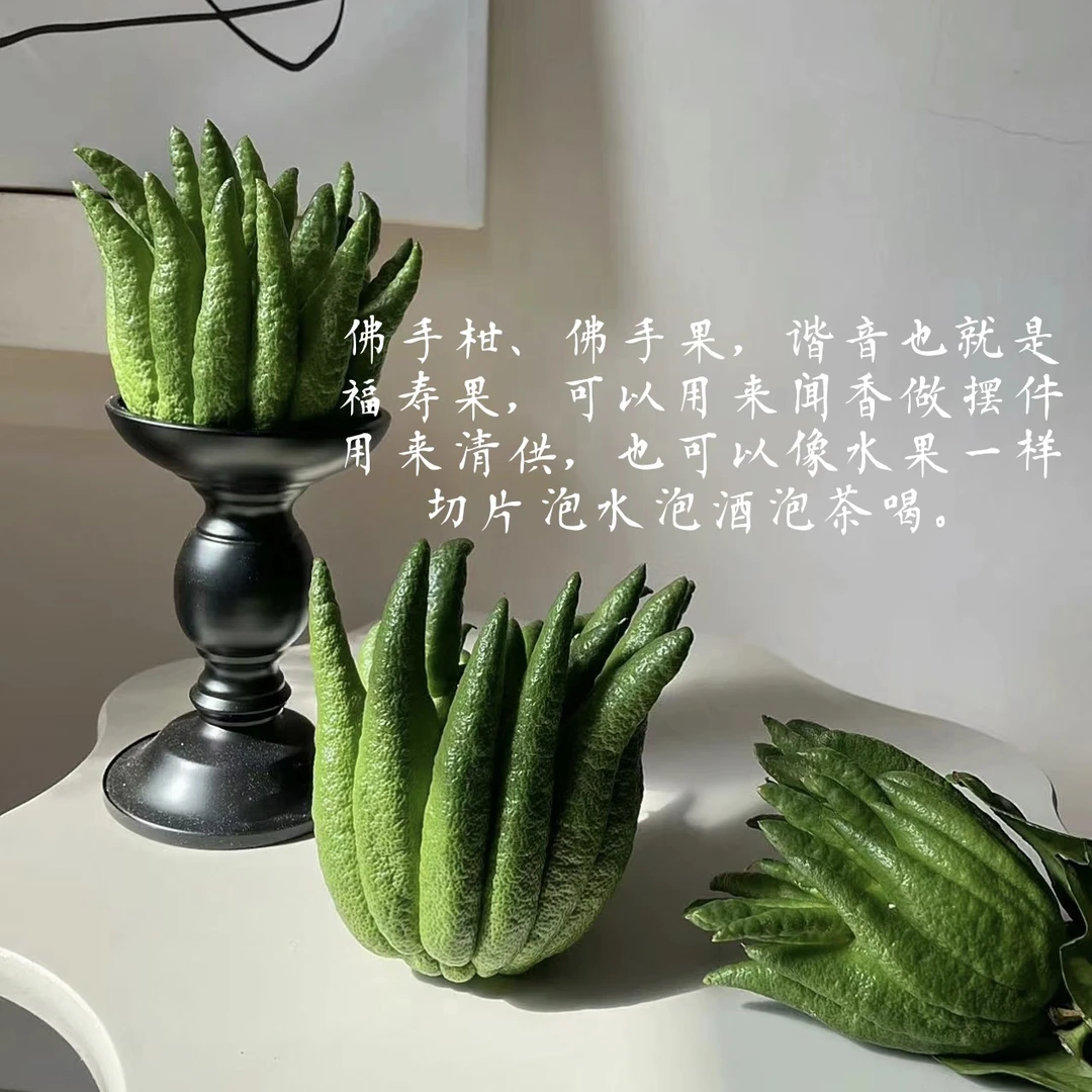 1500-2000克超级果王佛手柑精品云南基地直发高端植物花材新鲜