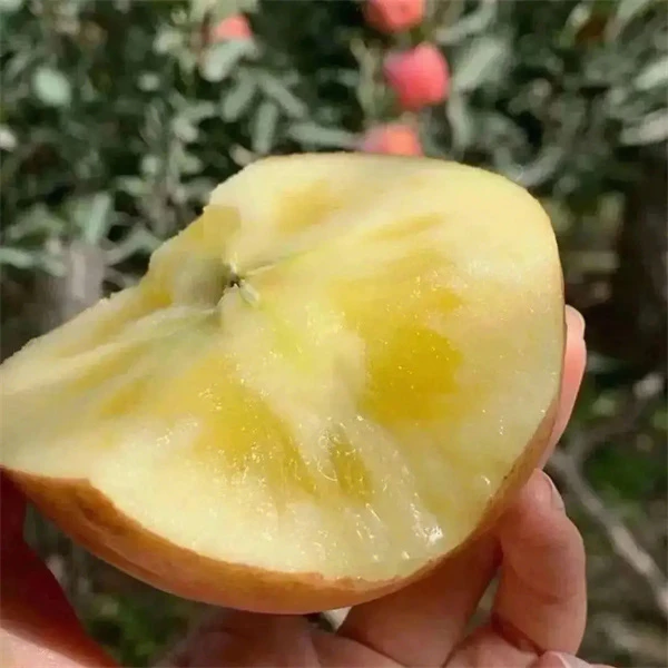 阿克苏苹果（一级80~90）十斤14斤