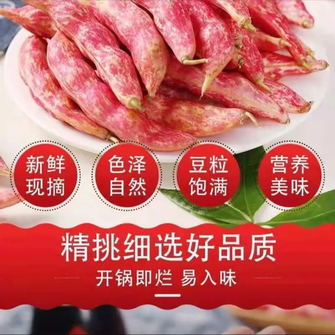 东北红金勾豆角新鲜豆角开锅烂现摘现发