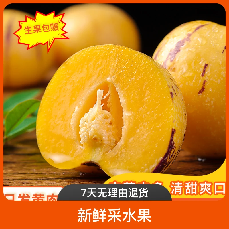 云南石林人参果树上自然成熟圆黄果净新鲜采水果8斤生坏包赔