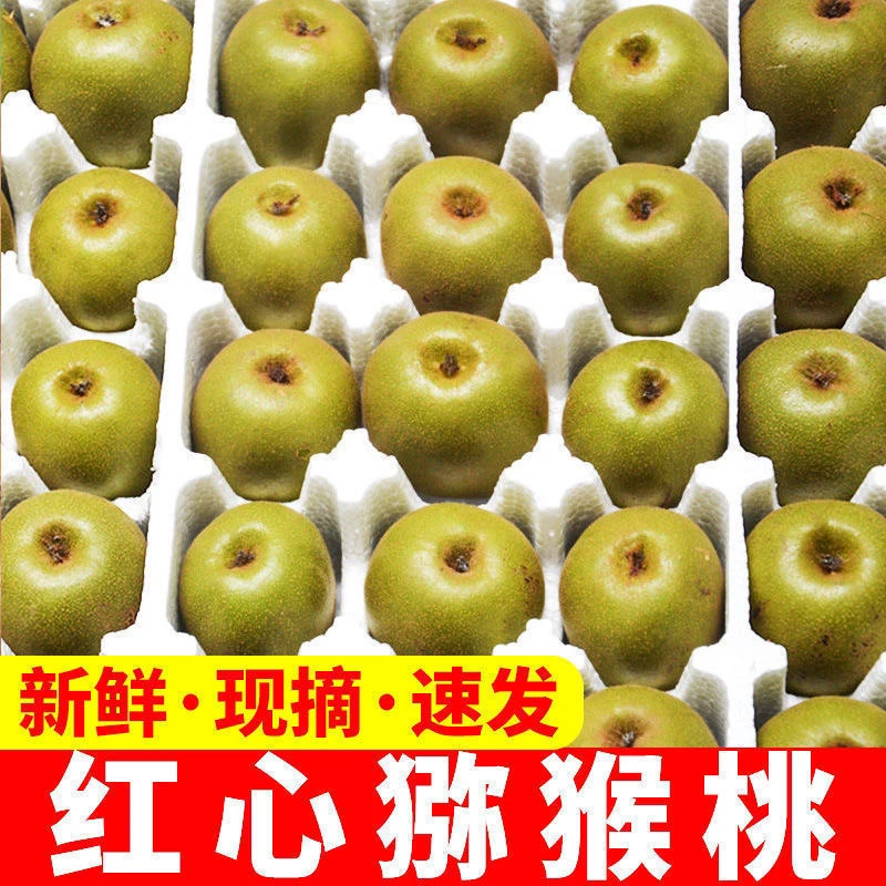（爆甜）四川红心猕猴桃现摘现发当季时令孕妇新鲜水果弥猴桃奇异果