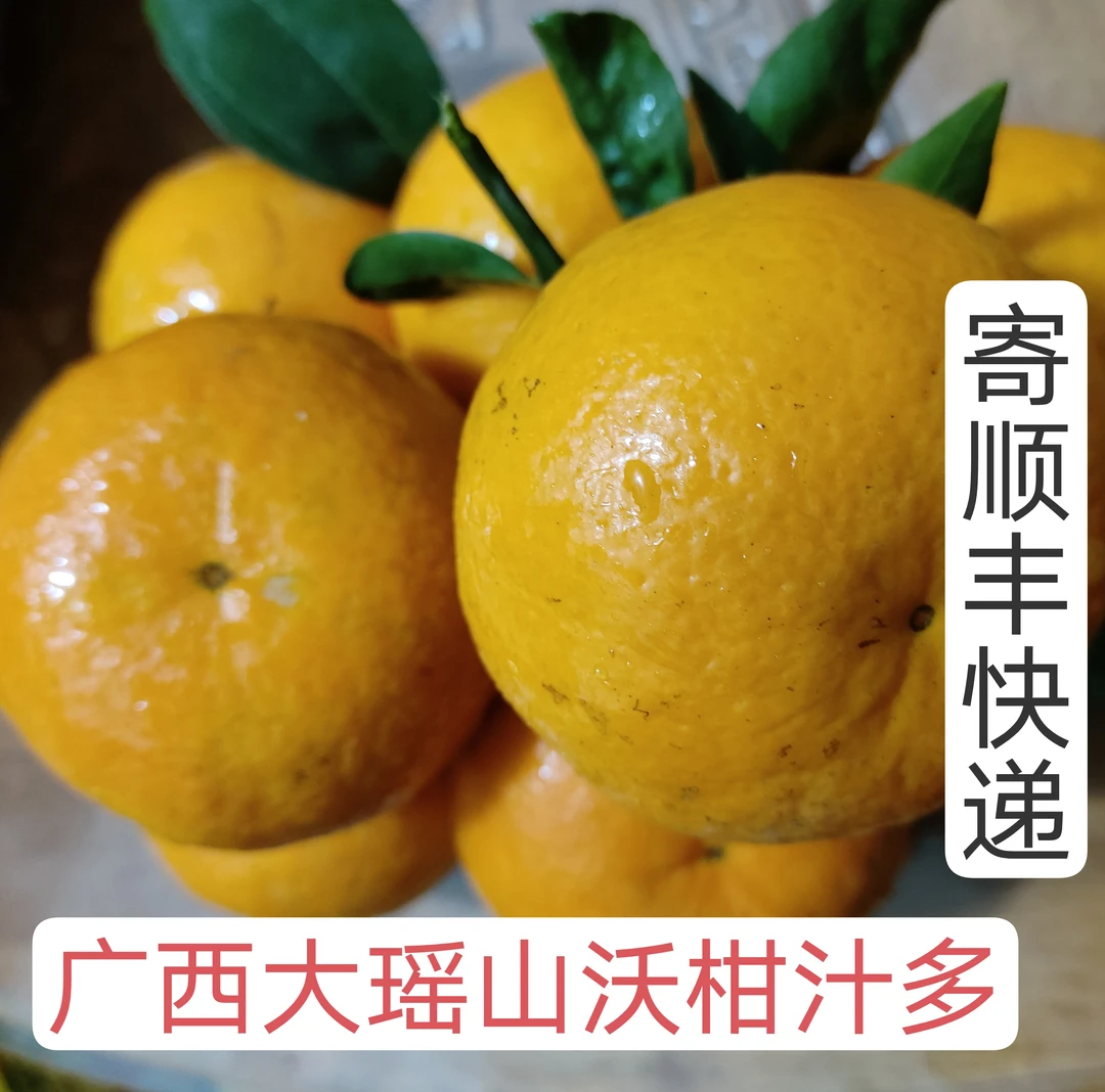 广西金秀大瑶山沃柑中小果