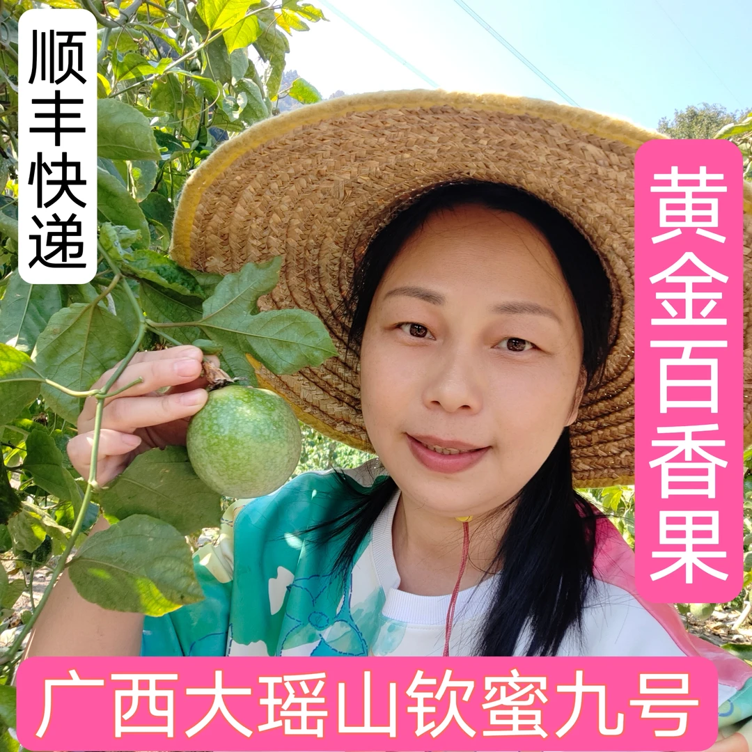 广西来宾大瑶山钦蜜九号黄金百香果香甜可口