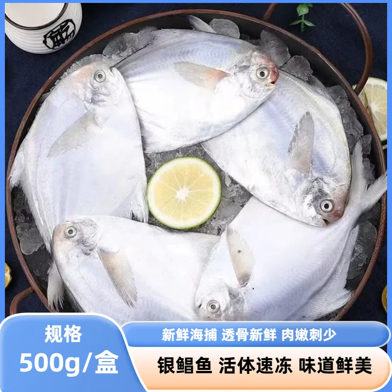 鲜管家冷冻新鲜美味银鲳鱼真空包装到手6包银鲳鱼 连云港冷链发货