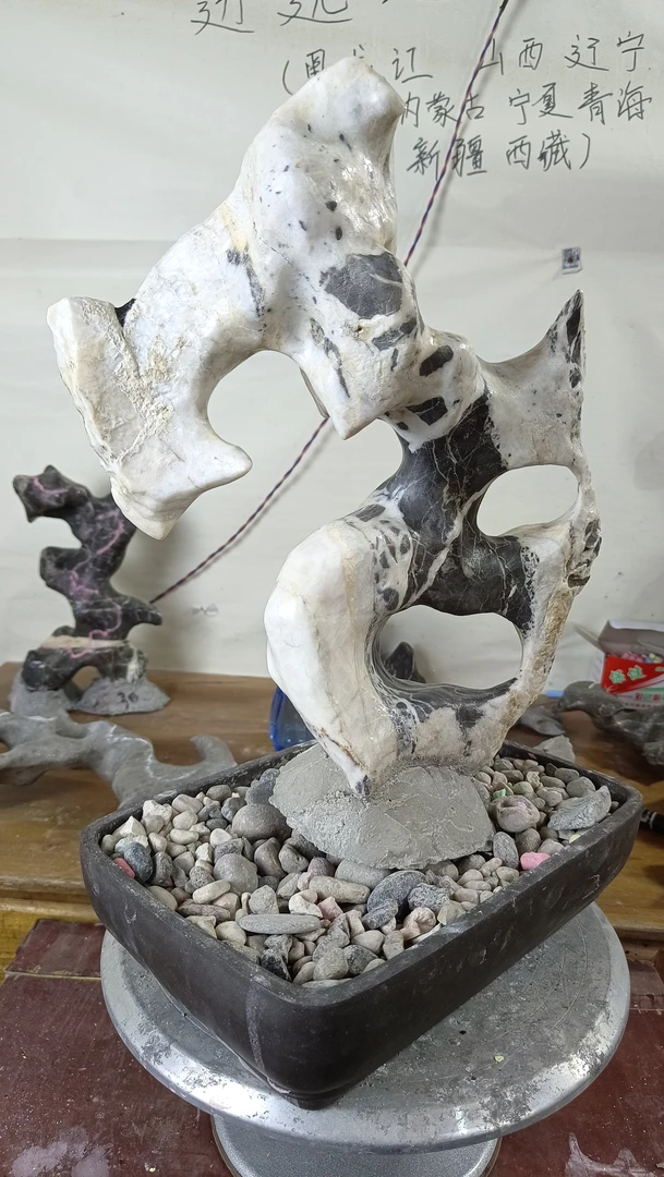 附石盆景，广西太湖石