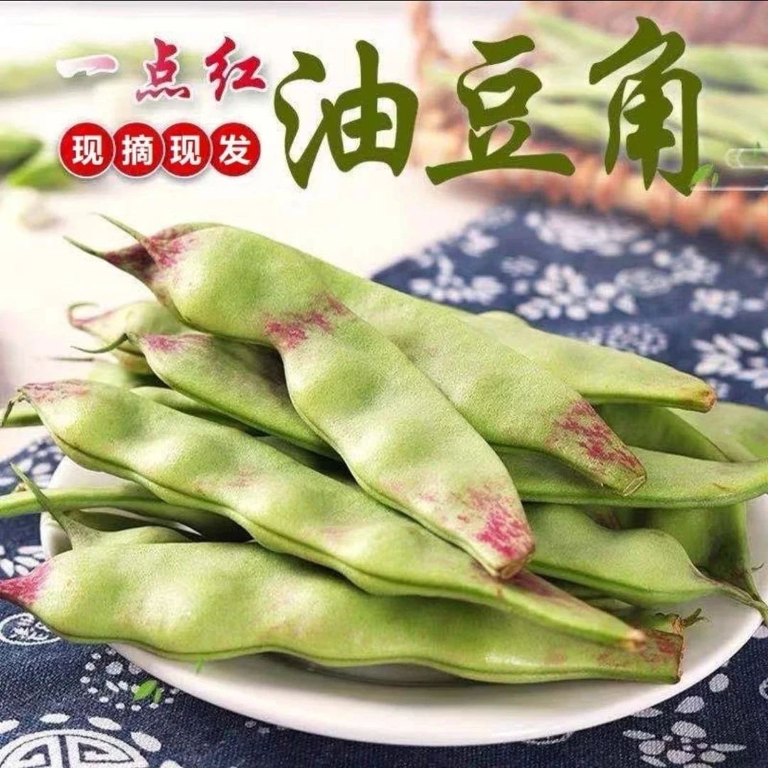 云南应季油豆角一点红九月青新鲜现摘产地直发