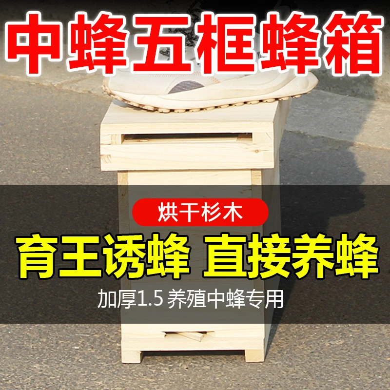 成品发货五框育王小型蜜蜂箱杉木蜜蜂诱蜂箱养蜂专用蜂箱