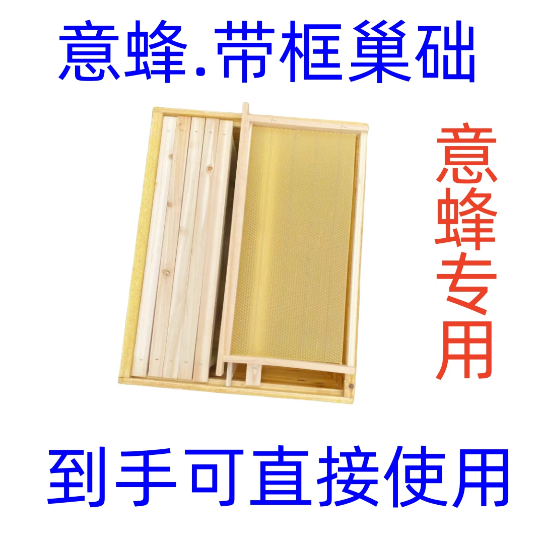意蜂巢础巢框成品蜂巢框全套带框巢基蜜蜂箱专用养蜂工具意蜂巢脾