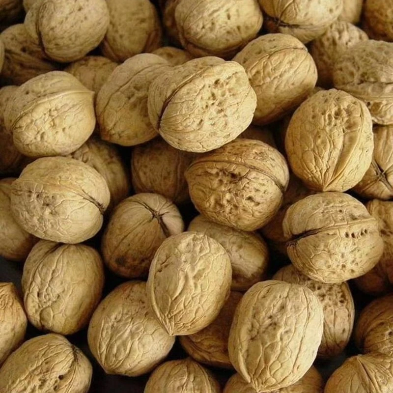 山西新品种薄皮核桃净含量5斤10斤