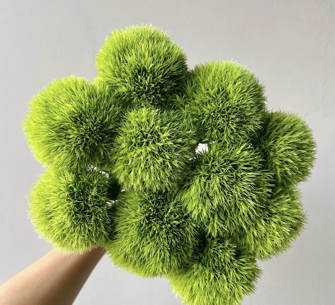 【夏日风情】绿毛球鲜枝组合水培植物室内好养易活森系植物