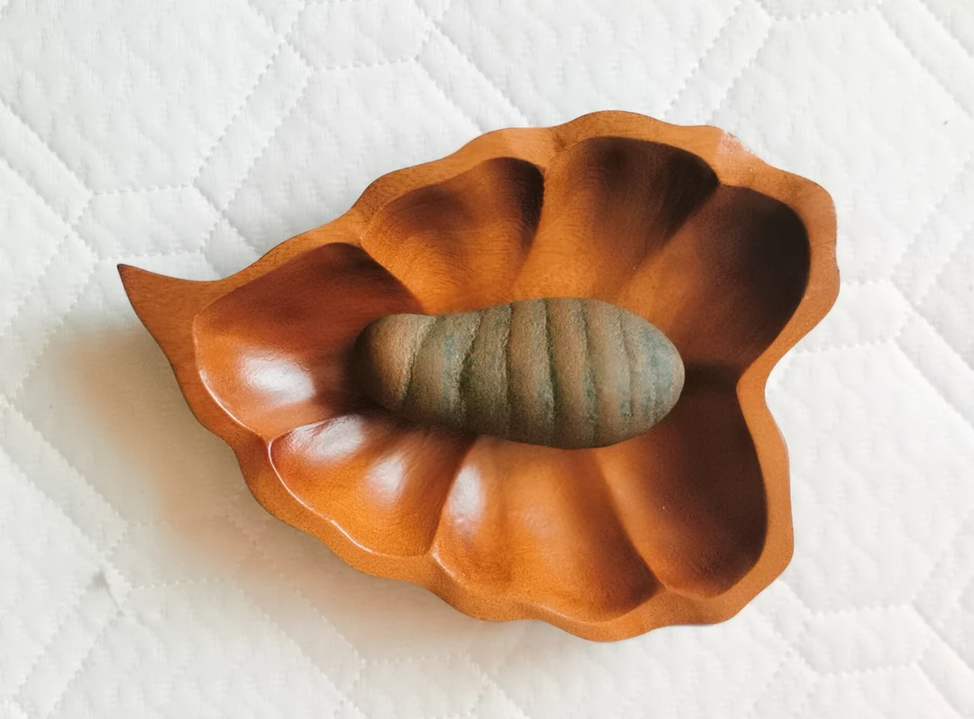 《蝉蛹》广西彩陶石 收藏级奇石