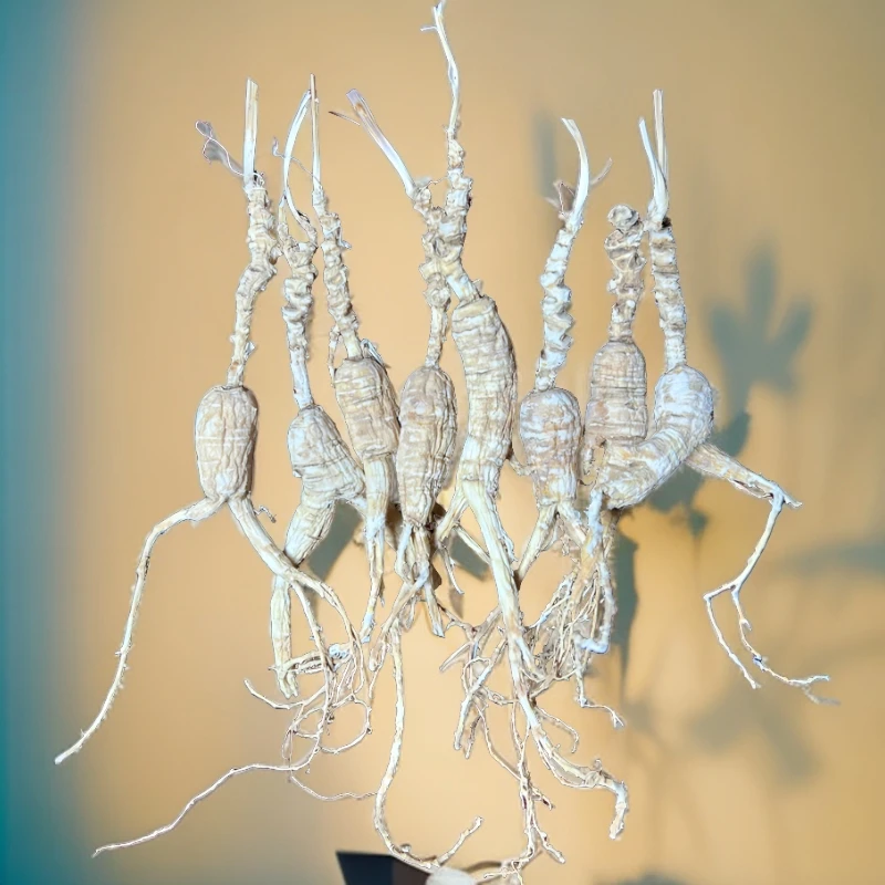 长白山林下参残参-食用自品质-中-L