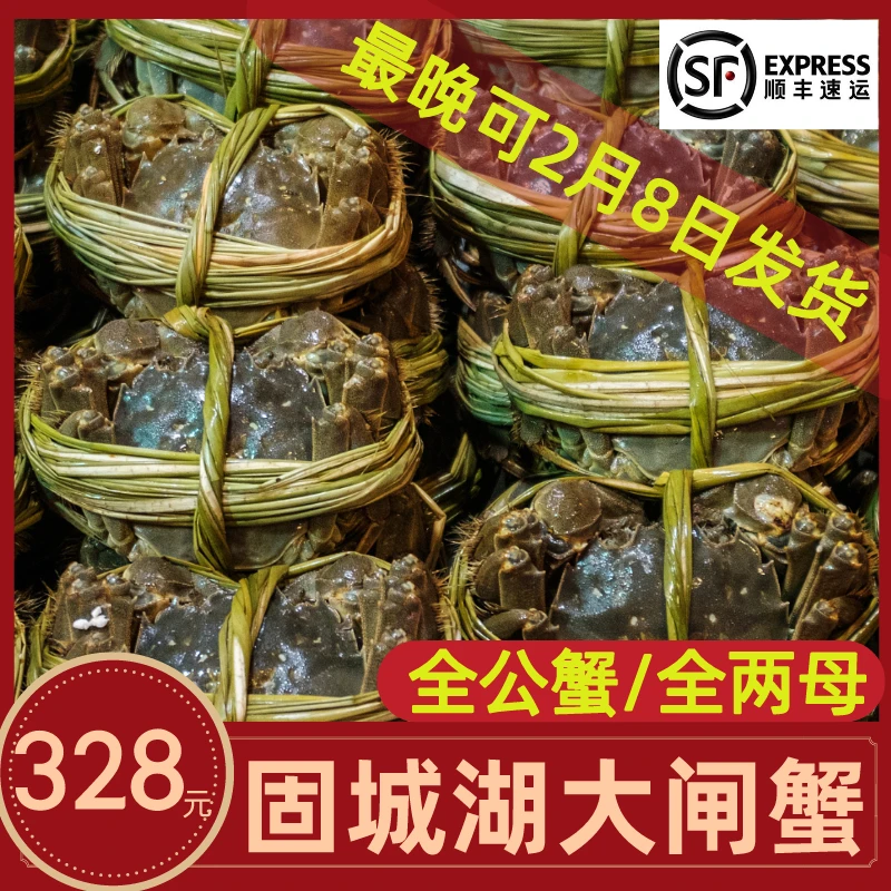 【活蟹】固城湖大闸蟹6/8/10只5两全公蟹饱满新鲜冷链直达春节礼盒