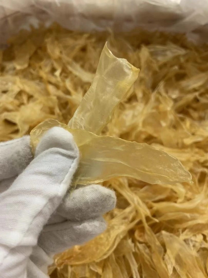 竹叶胶 鱼胶花胶 日常煲汤 甜品 做菜 爽脆口感