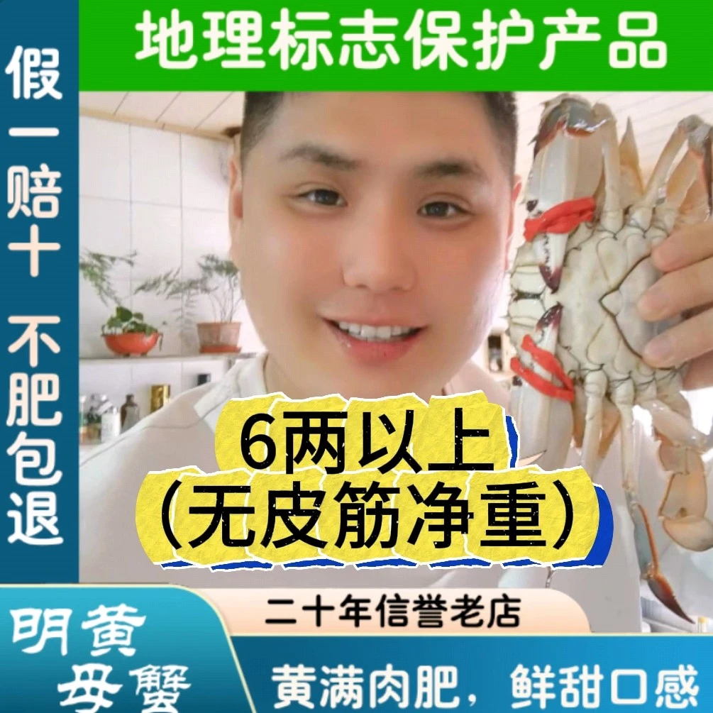 莱州梭子蟹，单只6两母，带黄顶盖肥鲜活发货，【保鲜不保活】斤数可选