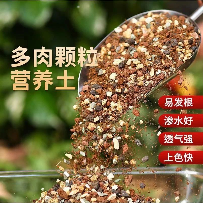 【买5斤送5斤】天然多肉专用颗粒营养土疏松拌土铺面有机配方发根土