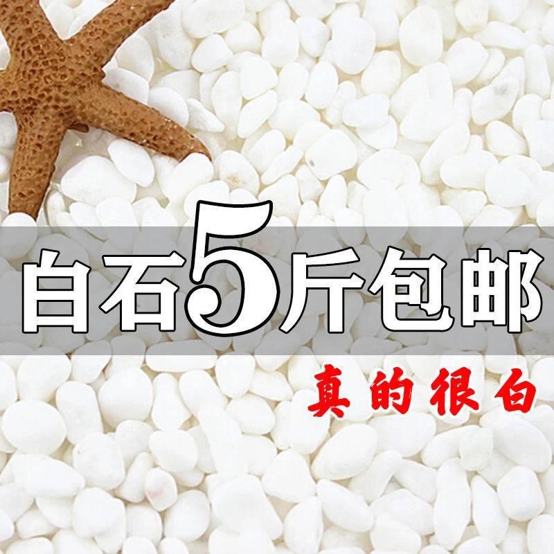 小白石子鹅卵石铺面多肉园艺天然原石雨花石盆栽水族花盆庭院造景