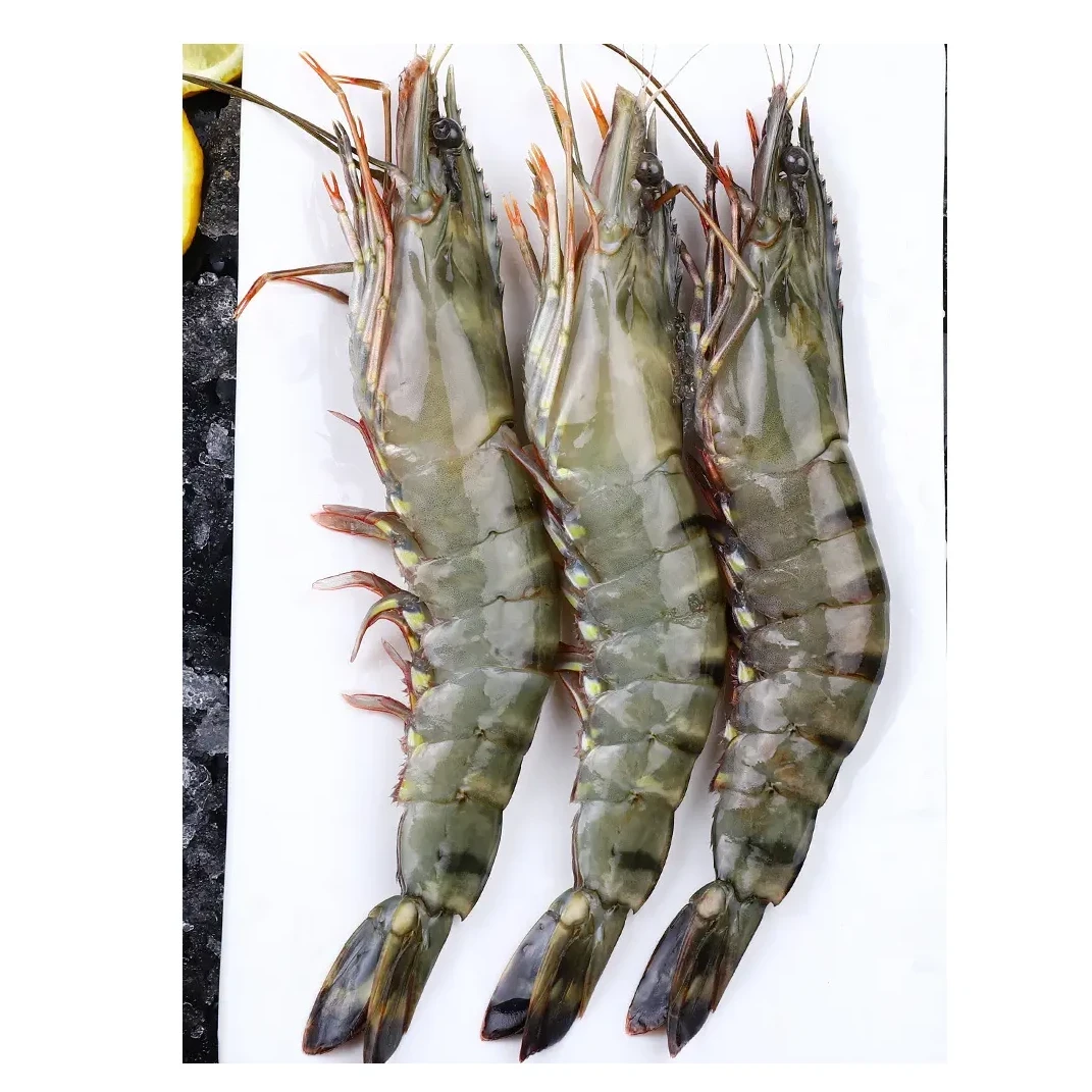 鲜活大个黑虎虾 500g/份