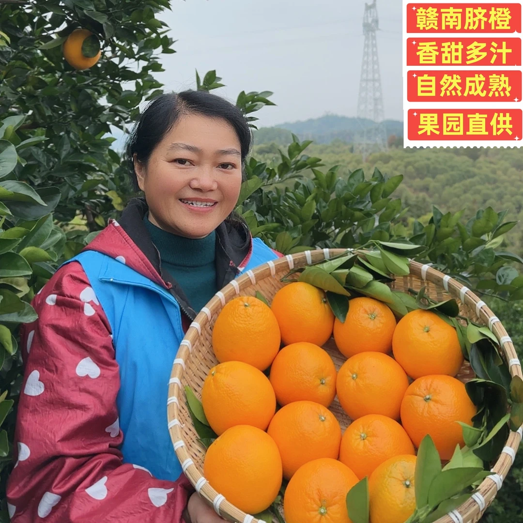 【顺丰包邮】【橙子姐专属中果福利】正宗赣南脐橙带箱10斤果园直供