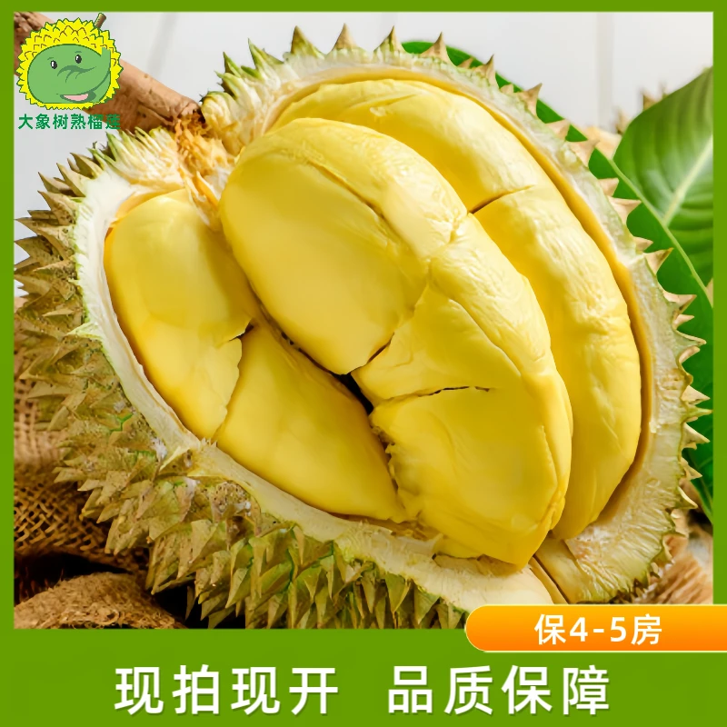 【青岛市南】一果一拍 金枕榴莲 现拍现开 青岛小时达【大象树熟榴莲】